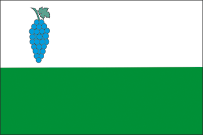 Vlajka obce Viničné Šumice