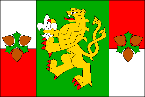 Vlajka Chvalnov-Lísky