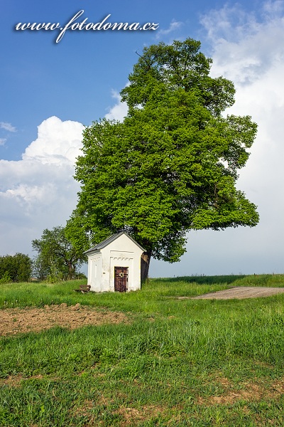 Gig_4210184, Bojkovice