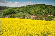 fotka-breznice-05, Březnice