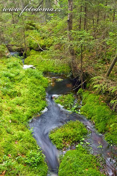 Tiveden, národní park, Švédsko, potůček v lese