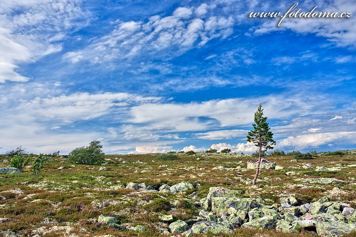 Kamenitá krajina parku u jezera Litle Rörsjön