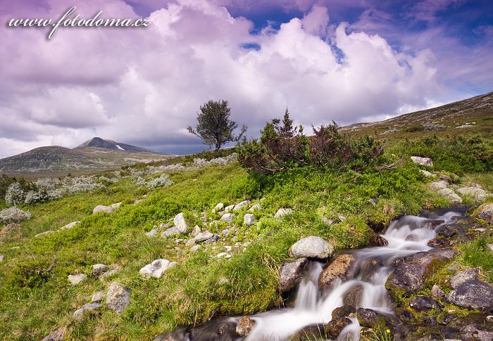Fotka Krajina s vrcholem Elgahogna v národním parku Femundsmarka