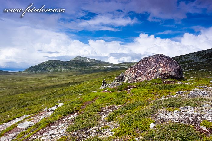 Krajina s vrcholem Elgahogna v národním parku Femundsmarka