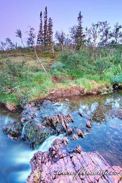 Fotka Přítok řeky Torsbjørka, Národní park Skarvan og Roltdalen, Norsko