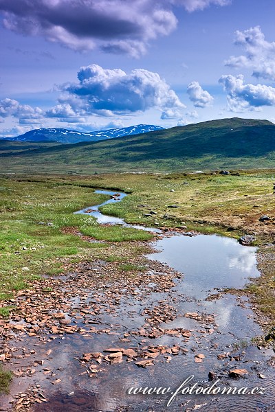 Fotka Krajina v oblasti Nautfjellet, Národní park Skarvan og Roltdalen, Norsko