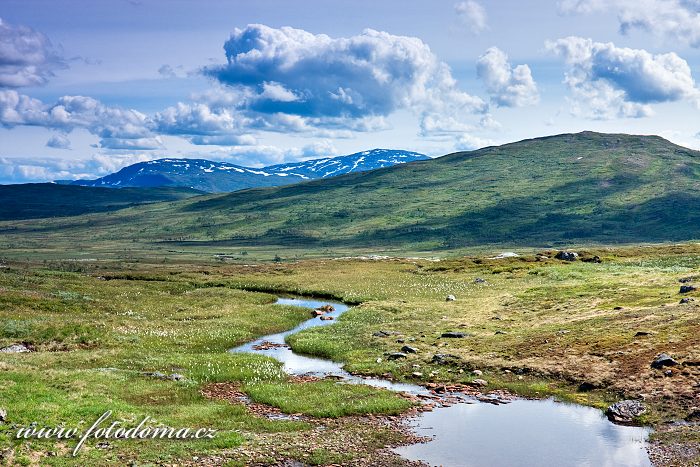 Krajina v oblasti Nautfjellet, Národní park Skarvan og Roltdalen, Norsko