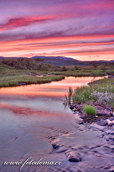 Fotka U pramenů řeky Nautåa, Národní park Skarvan og Roltdalen, Norsko