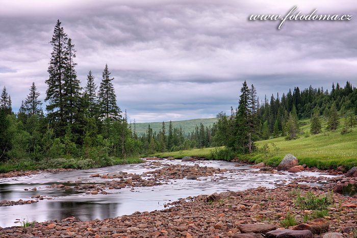 Fotka Řeka Nea, Národní park Skarvan og Roltdalen, Norsko