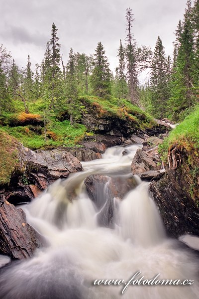 Fotka Řeka Torsbjørka, Národní park Skarvan og Roltdalen, Norsko