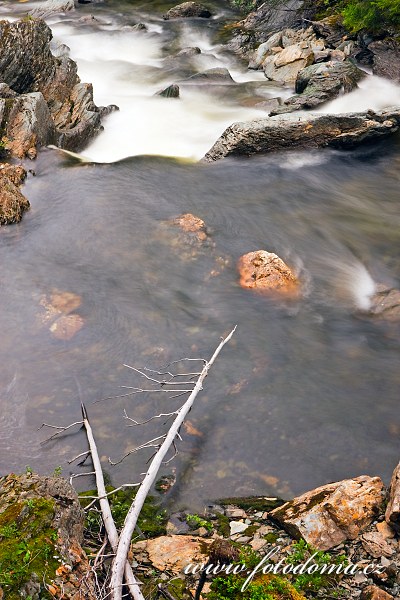 Fotka Řeka Torsbjørka, Národní park Skarvan og Roltdalen, Norsko