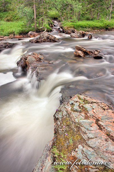 Fotka Řeka Torsbjørka, Národní park Skarvan og Roltdalen, Norsko