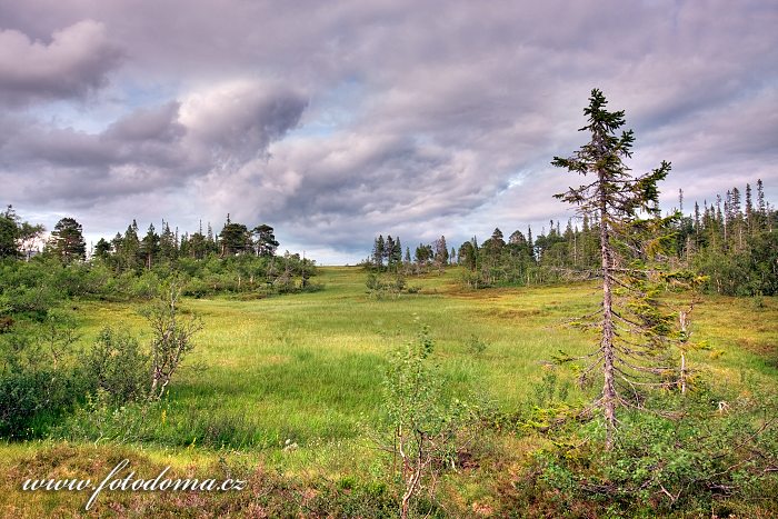 Fotka Krajina u řeky Torsbjørka, Národní park Skarvan og Roltdalen, Norsko