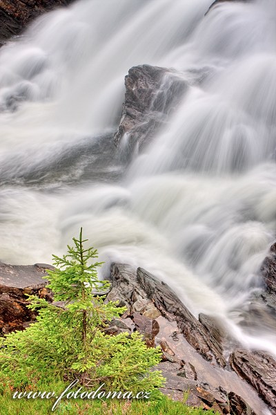 Fotka Řeka Torsbjørka, Národní park Skarvan og Roltdalen, Norsko