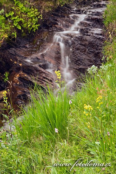 Přítok řeky Torsbjørka, Národní park Skarvan og Roltdalen, Norsko
