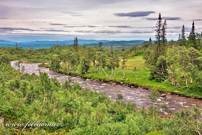 Fotka Řeka Torsbjørka, Národní park Skarvan og Roltdalen, Norsko