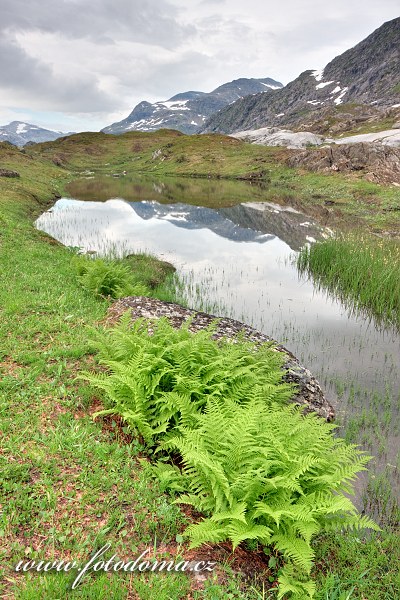 Jezírko v údolí Glomdalen, NP Saltfjellet-Svartisen, Norsko