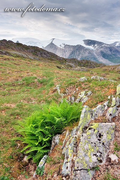 Hory kolem údolí Glomdalen s horou Snøtinden, Národní park Saltfjellet-Svartisen, Norsko