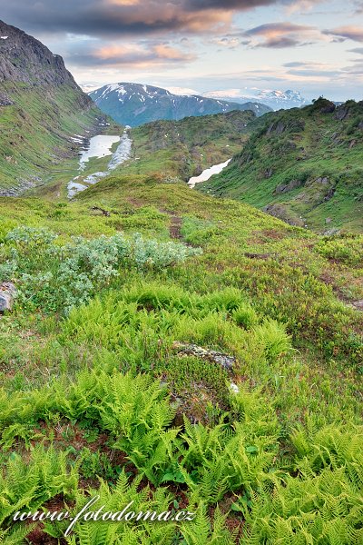 Jezero Nedre Pikhaugvatnet a údolí Glomdalen. Národní park Saltfjellet-Svartisen, kraj Nordland, Norsko