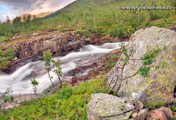 Horská bystřina v údolí Blakkådal. Národní park Saltfjellet-Svartisen, kraj Nordland, Norsko