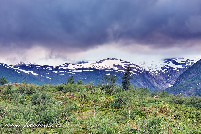 Údolí Bjellåga s ledovcem Lappbreen. Národní park Saltfjellet-Svartisen, kraj Nordland, Norsko
