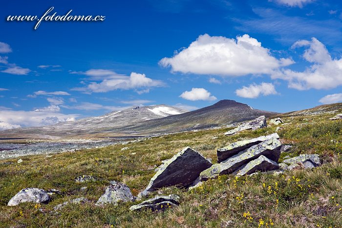 Údolí potoka Namnlauselva. Národní park Saltfjellet-Svartisen, kraj Nordland, Norsko