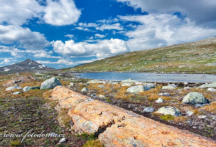 Údolí potoka Namnlauselva. Národní park Saltfjellet-Svartisen, kraj Nordland, Norsko