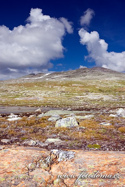 Údolí potoka Namnlauselva. Národní park Saltfjellet-Svartisen, kraj Nordland, Norsko