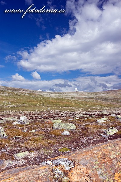 Údolí potoka Namnlauselva. Národní park Saltfjellet-Svartisen, kraj Nordland, Norsko