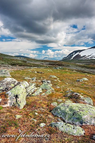 Údolí potoka Namnlauselva. Národní park Saltfjellet-Svartisen, kraj Nordland, Norsko