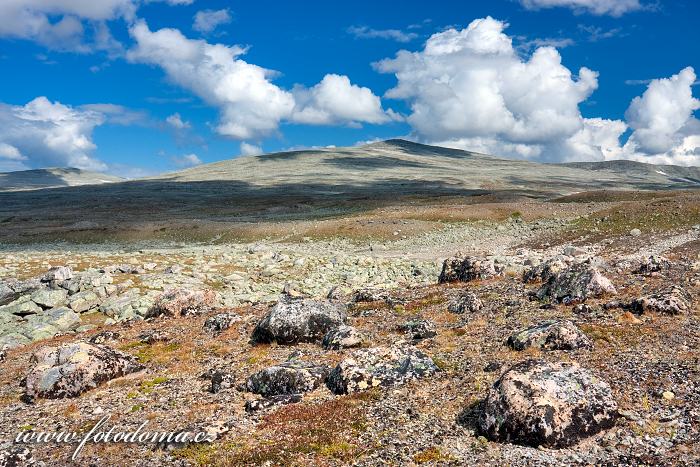 Údolí Steindalen. Národní park Saltfjellet-Svartisen, kraj Nordland, Norsko