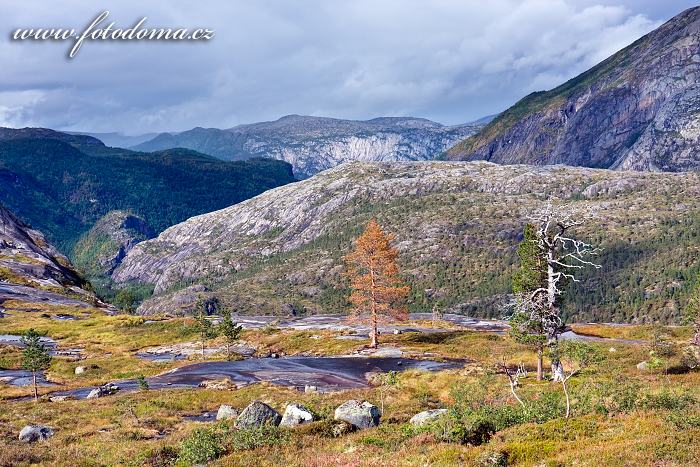 Krajina kolem jezera Litlverivatnet, národní park Rago, kraj Nordland, Norsko