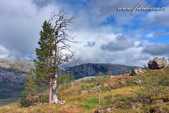 Fotka Krajina kolem jezera Litlverivatnet, NP Rago, Norsko