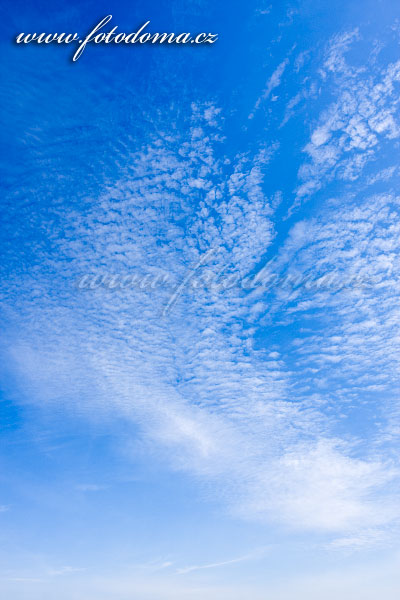 Fotka Beránky na obloze