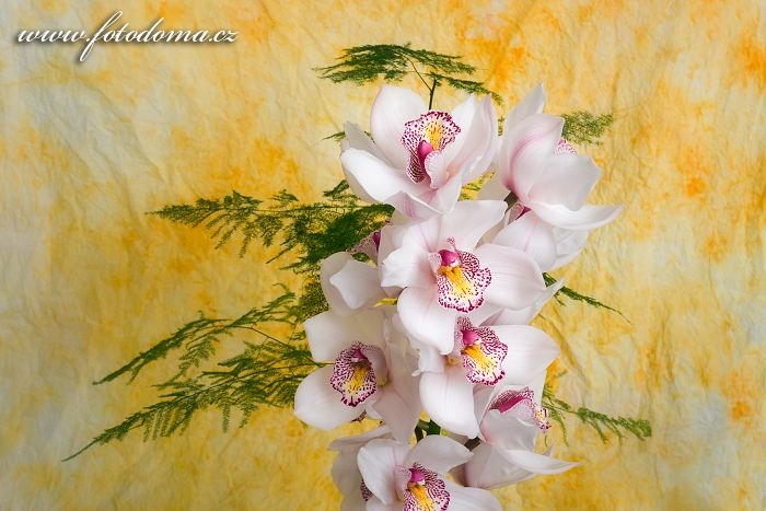 Fotka Květinová vazba s orchidejí