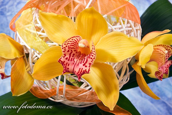 Fotka Květinové aranžmá s orchidejemi