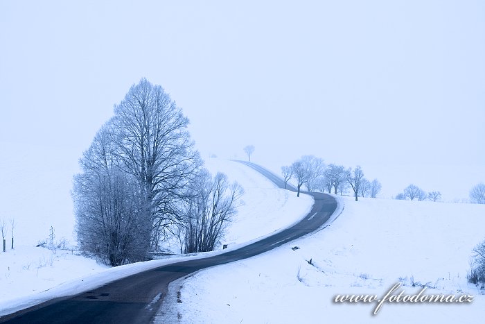 Fotka Zimní krajina s cestou