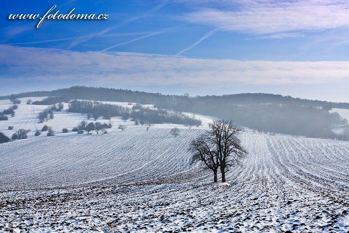Fotka Zimní krajina u Kněždubu, Bílé Karpaty