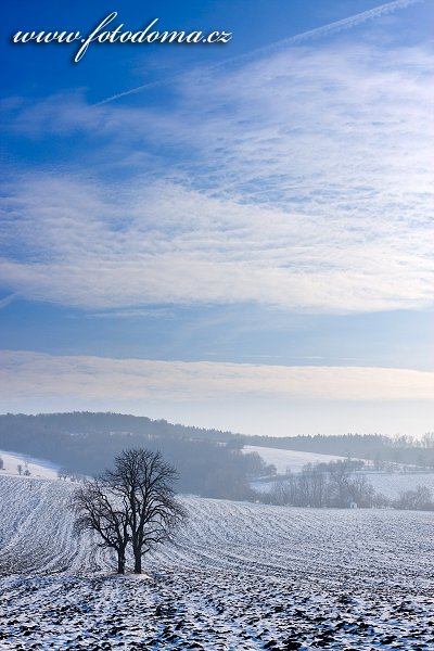 Fotka Zimní krajina u Kněždubu, Bílé Karpaty