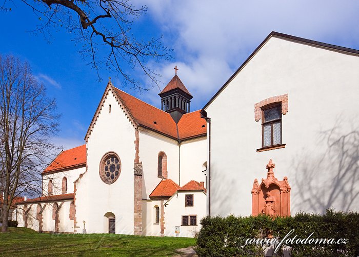 Fotka Kostel Nanebevzetí Panny Marie, Předklášteří