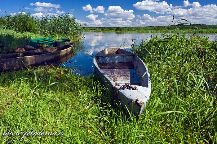 Fotka Loďky a řeka Narew u vesnice Bokiny, Narwianski národní park, Polsko