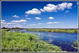 Řeka Narew u vesnice Bokiny, Narwianski národní park, Narwianski Park Narodowy, Polsko