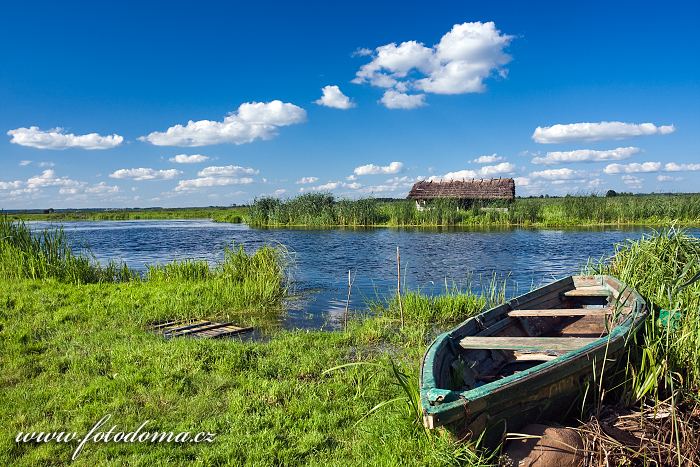 Fotka Loďka a řeka Narew u vesnice Waniewo, Narwianski národní park, Polsko