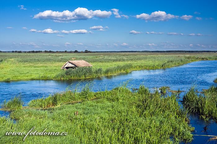 Fotka Řeka Narew u vesnice Waniewo, Narwianski národní park, Polsko