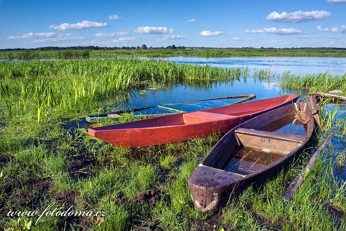 Fotka Čluny a řeka Narew u vesnice Waniewo, Narwianski národní park, Polsko