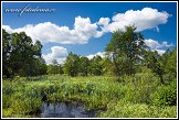 Bažiny Bagno Podlaskie, Biebrzanski národní park, Biebrzanski Park Narodowy, Polsko