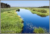 Řeka Biebrza u Dolistowo Stare, Biebrzanski národní park, Biebrzanski Park Narodowy, Polsko