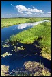 Řeka Biebrza u Dolistowo Stare, Biebrzanski národní park, Biebrzanski Park Narodowy, Polsko