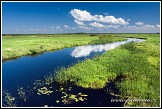 Řeka Biebrza u Dolistowo Stare, Biebrzanski národní park, Biebrzanski Park Narodowy, Polsko