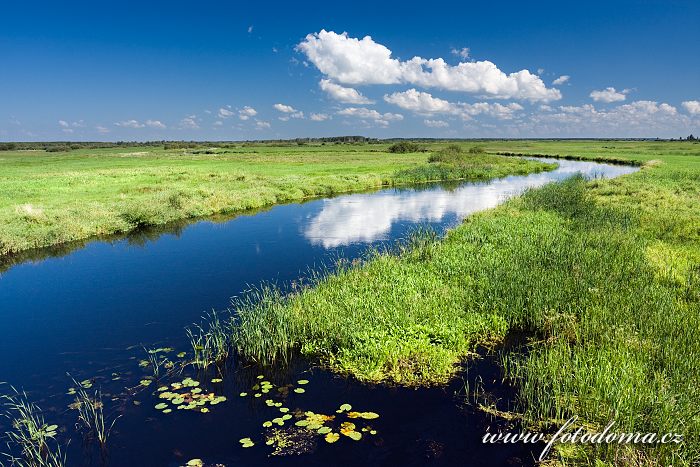 Fotka Řeka Biebrza u Dolistowo Stare, Biebrzanski národní park, Polsko